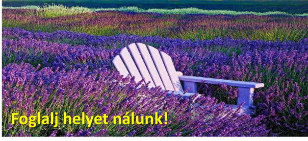 foglalj-helyet-nc3a1lunk