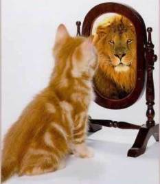 mirror-self-reflection