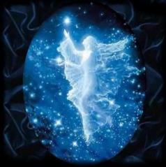 tn_aid7232_20080128035935_704