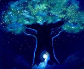 night tree