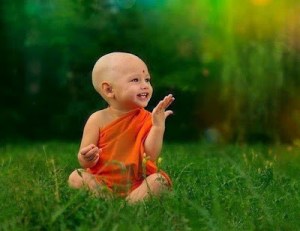 377228_356255077786982_1717376005_n