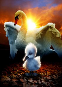Ugly_Duckling_by_mruottin