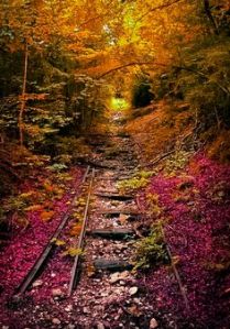 6307b5ec41e93eafb32a791f742150e7