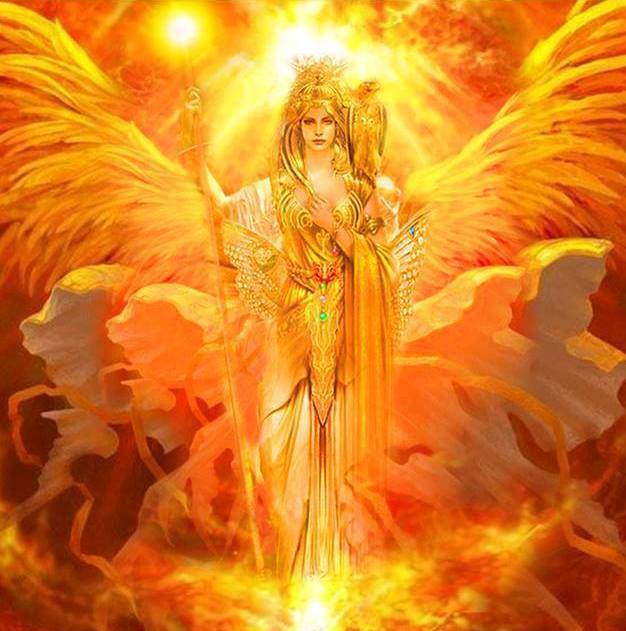 1395401_10151675348362076_1392534723_n2