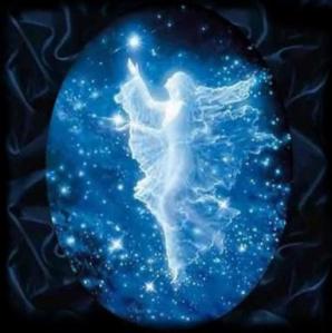 tn_aid7232_20080128035935_704