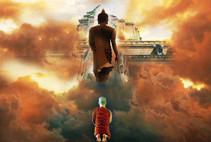 601748_454460111313123_61930071_n