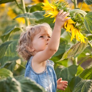 child-sunflower