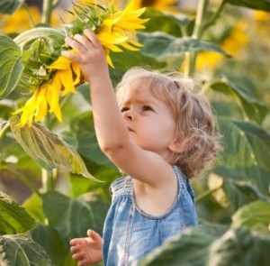 child-sunflower