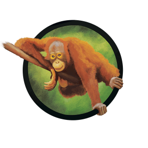 orangutan_illustration_for_wwf_calendar_by_robertmeadows-d6o8i7a