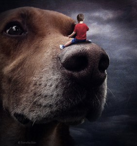 sarolta-ban2-640x680