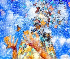 change-butterfly-Tobby-Donaghey