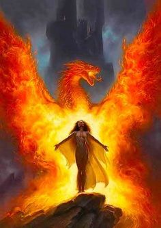 fire dragon.jpg