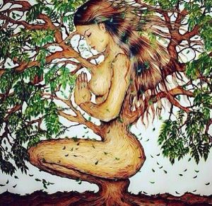 tree mother