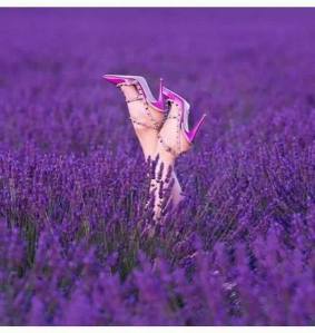 1622242_722603471140486_2628783347782413510_n