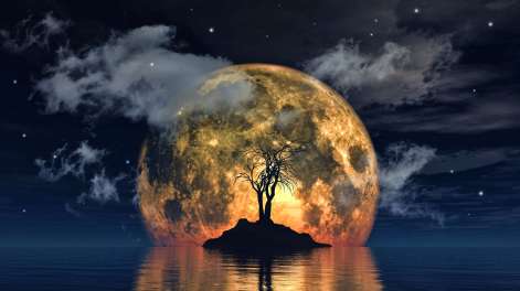spooky-tree-against-big-moon (1)